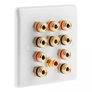 5.1 Slimline Audio AV Speaker Plate Gold 10 Binding Posts + 1 RCA NON SOLDER - Picture 1 of 5