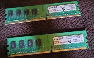 Lot of 2 CT12864AA667 Crucial Crucial 1GB DDR2 SDRAM Memory Module - 1GB  - Image 1 of 4