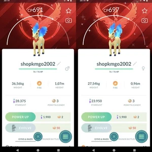 Shiny Ponyta Candela Team Valor Background - Read Description - Afbeelding 1 van 1