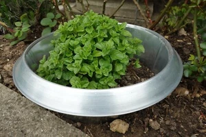 Slug Collar (1 Large 28 cm Collar) - Silver Metal - Andermatt Home & Garden - Picture 1 of 2