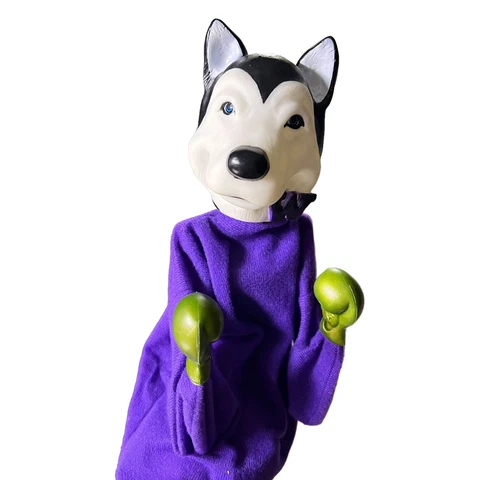Washington Huskies Harry Pup Dog Mascot Collegiate Boxing Punching Puppet Husky Cover