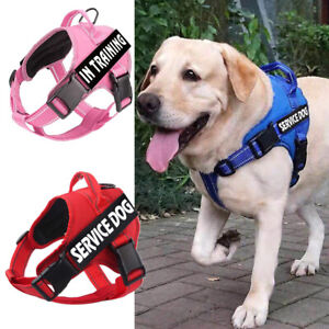 Reflective Service Training Dog Harness & 2 Free Tags Pet Cat Puppy Power Vest