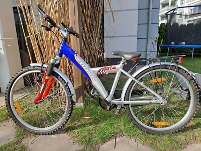 Kinderfahrrad 24er - Bild 1 von 4