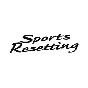SPORTS RESETTING FENDER DECAL : FITS NISSAN SKYLINE R34 - Picture 1 of 3