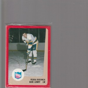 KK) 1988-89 PRO CARDS PEORIA RIVERMEN TEAM SET IHL Factory Sealed  ODELEIN LOWRY