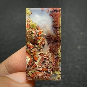 Scenic Moss Agate Cabochon 32x16x4mm High Quality 25 ct - Picture 1 of 7