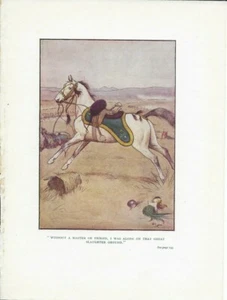 Horse book print, Original Antique book print: Horses, C1900 - Picture 1 of 1