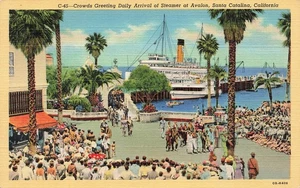 SANTA CATALINA ISLAND CA CROWD GREET ARRIVAL OF STEAMER AVALON 1940 LINEN 103025 - Picture 1 of 2
