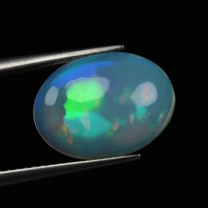 3.04 Ct Oval 14 X 10  mm Rainbow Multi Flashy Harlequin Solid Welo Opal - Picture 1 of 2