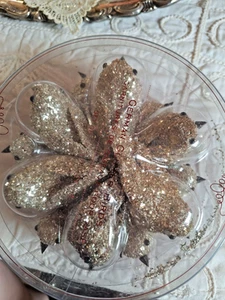 Pottery Barn Silber Vogel Weihnachtsschmuck Deutsch Glitzer 12er Set NEU - Bild 1 von 3