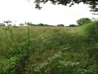 Photo 6X4 View East Along A Field Boundary Hedge Saxlingham Green  C2009