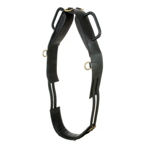 Truco de Caballo Montar y Terapia de Curación Montar Bóveda Surcingle - Imagen 1 de 1