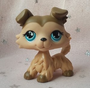 LPS Littlest Pet Shop Collie #893 Authentic