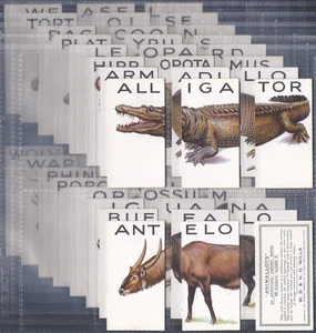 WILLS-FULL SET- ANIMALLOYS 1934 (SECTIONAL JIGSAW 48 CARDS) EXCELLENT - Picture 1 of 4