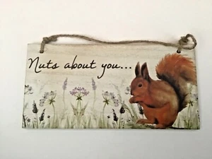 Red Squirrel wildlife nature rectangular wooden hanging plaque gift Free P & P - Picture 1 of 1