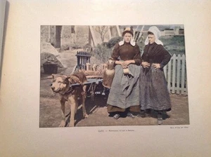 EN BELGIQUE : Sites, Paysages circa 1882. - Foto 1 di 5