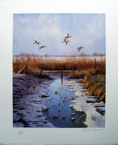 Julian Novorol - Following the Fleet - Teal - Ltd Edit - No. 43/500 - Print Only - Picture 1 of 11