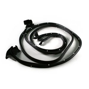 Door Seals Rubber Weatherstrip Pair Set of 2 for Buick Chevy Olds Pontiac 2 Door - Picture 1 of 2