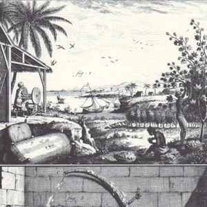 Coton - Culture et arçonnage du coton - Gravure ancienne - Réédition 1964 - Bild 1 von 2