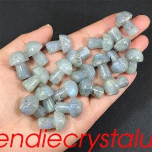 20 piezas Natural Labradorita Hongo Cuarzo Cristal Mineral 1" Gema Reiki Curación - Imagen 1 de 12