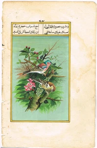 Pintura en miniatura mogol hecha a mano de pájaro pintura en miniatura sobre papel 6,75x10" - Imagen 1 de 9