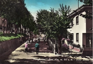 3061 BOLOGNA MONGHIDORO VIALE ROMA - Picture 1 of 1