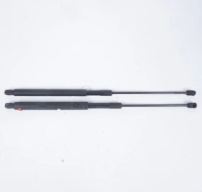 Amortiguadores de soporte de elevación para capó de conductor y pasajero Mercedes-Benz Ml350 2003-2011 Foto 1 de 4