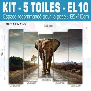 125x100cm- Kit 5 Gemälde Bedruckt Bild Deko - Elefant EL10-5T125100 - Bild 1 von 8
