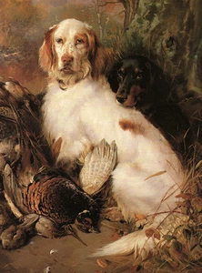 ENGLISCHER SETTER & GORDON SETTER CHARMANTER HUND GRUSS NOTIZKARTE - Bild 1 von 1