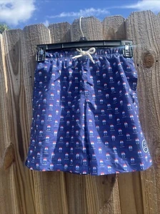 Life is Good Boys 6 Board Swim Shorts Lined Trunks Red white blue popsicles - Picture 1 of 8