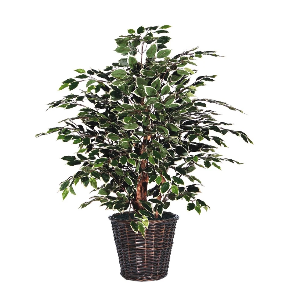 Vickerman 4' Variegated Extra Completo - TXX0240 Foto 1 de 1