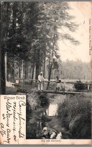 *71519 cpa Allemagne - Weisser Hirsch - Picture 1 of 1