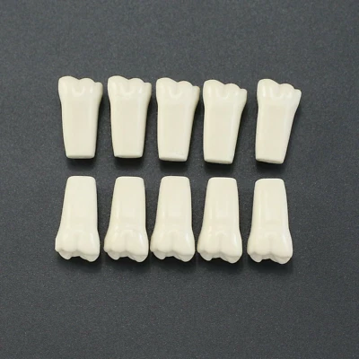 Lote de 10 piezas de reemplazo de dientes tipodontes dentales dientes individuales ajustados Columbia 860 Foto 1 de 4