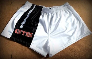 HOLDEN FJ FX FC FE EK FB EJ EH HD HR HK HT HG HQ GTS FOOTBALL NRL AFL SHORTS XL - Picture 1 of 2