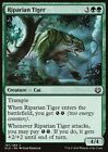 MTG Magic the Gathering Riparian Tiger (167/291) Kaladesh NM