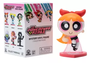 The Powerpuff Girls™ Mystery Vinyl Figur (Stile können variieren) - Bild 1 von 1