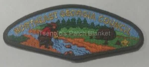 Northeast Georgia Council CSP Mint Condition FREE SHIPPING - Picture 1 of 1