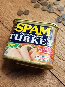 NOoP / Spam / *Ofen Roasted Turkey / Dose / Coin Bank - Bild 1 von 3