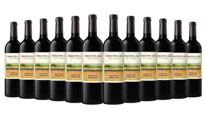 Princeton Lake Shiraz 2012 Hunter Valley (Damaged Cork Open with care) - Picture 1 of 2