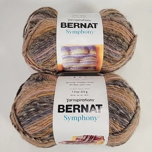 Bernat Symphony Yarn Lot Of 2 Skeins Bulky 5 Wool Blend Brocade 21008 - Imagen 1 de 8