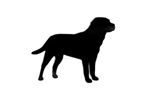 Labrador Smooth Coat Dog Stickers Iron On Decals For Clothes T-Shirt 50mm x 2 - Picture 1 of 2
