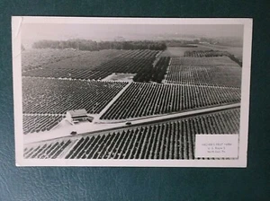 RPPC Archer's Fruit Farm Northeast Pa sin publicar  - Imagen 1 de 3