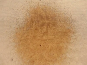 Madrone Cherry Burl wood veneer 11" x 25" with paper backer 1/40" thickness AA - Picture 1 of 6