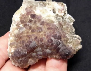 2.5" FLUORITE from Chihuahua, Mexico - Picture 1 of 9