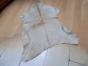 Goat Skin, Goat Leather, Wall Art, Spotted Hide, Unique Pelt, 1.5 x 2.4 ft - Picture 1 of 19