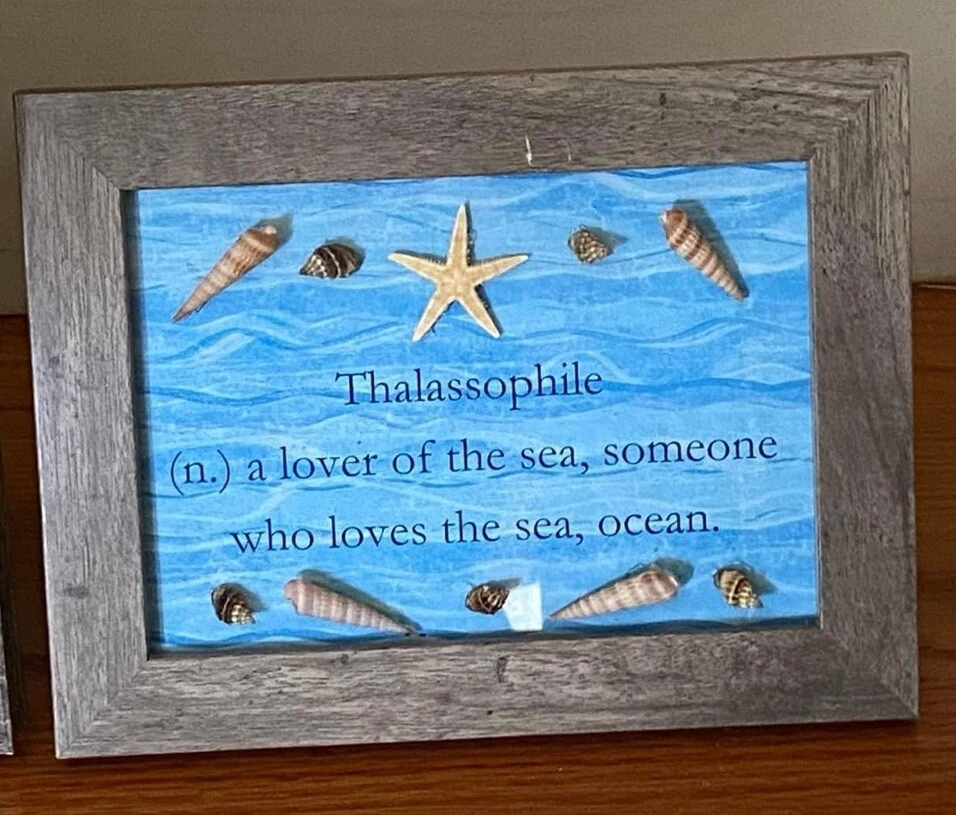 SeaShells Summer Framed DecorArt Starfish Art Coastal Beachy Picture 5x7 OOAK - Image 1 of 1