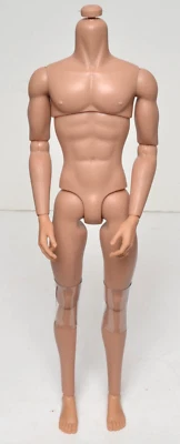 HOMME 12.5" MALE DOLL BODY HUNGARIAN TONE Integrity Toys Fashion Royalty (CCPC)