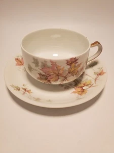 Vtg Haviland Limoges Tea Cup and Saucer The Autumn Leaf Made In France - Picture 1 of 5