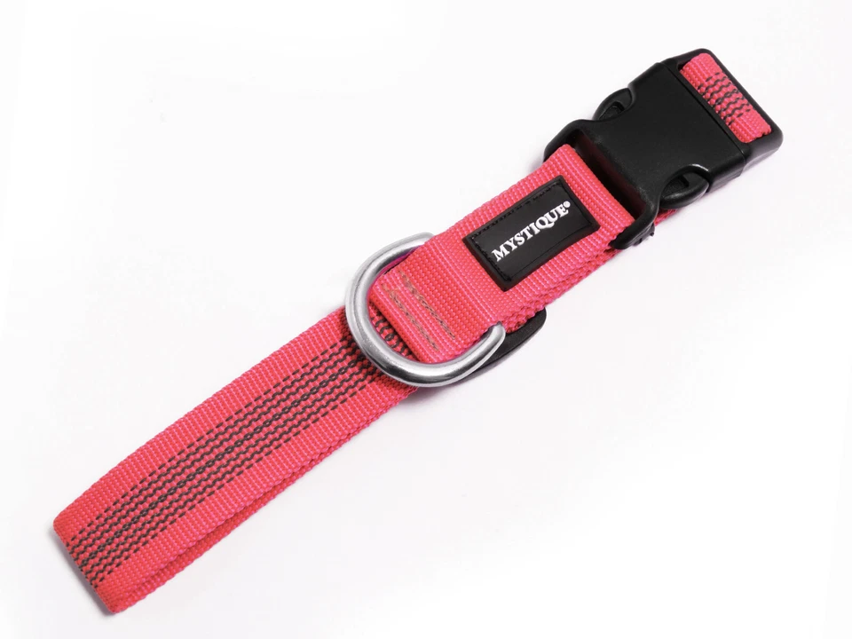 Mystique Gummiertes Hundehalsband Halsband für Hunde viele Farben & Größen - Bild 1 von 1