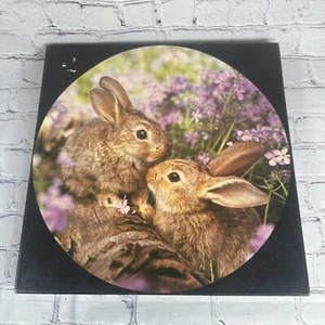 Rare SPRINGBOK CIRCULAR PUZZLE "WOODLAND FRIENDS" VINTAGE 1980 Rabbit Bunny - Picture 1 of 5